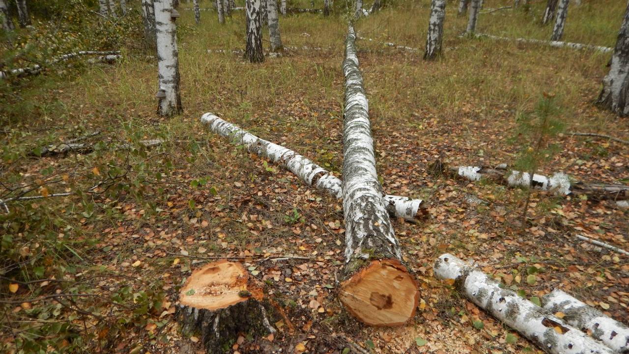 Подробности новостей | Ведомости законодательного собрания НСО